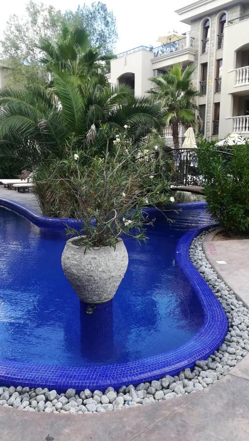 Cascadas Family Resort - Apartment Private サニービーチ エクステリア 写真